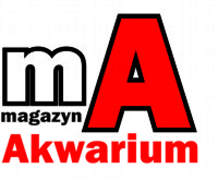 Magazyn Akwarium